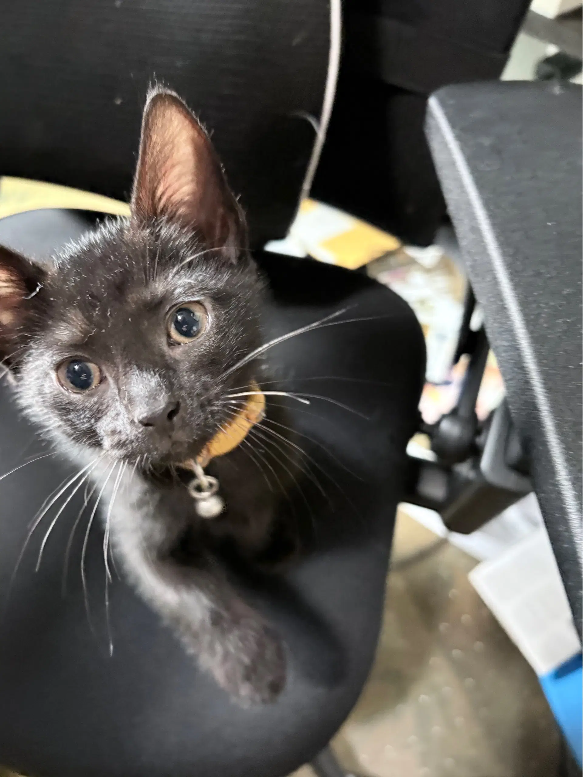 Sleepy image 3