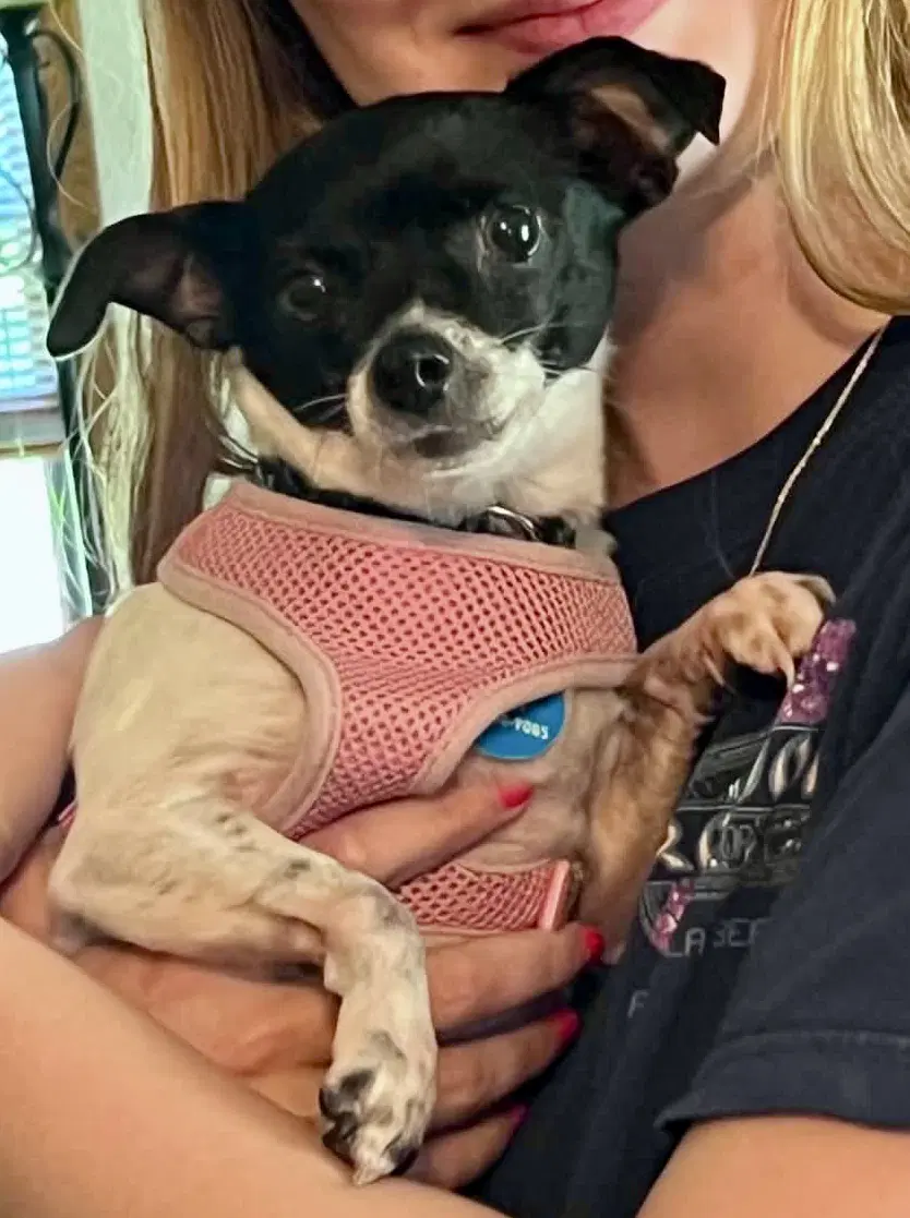 Missy image 3