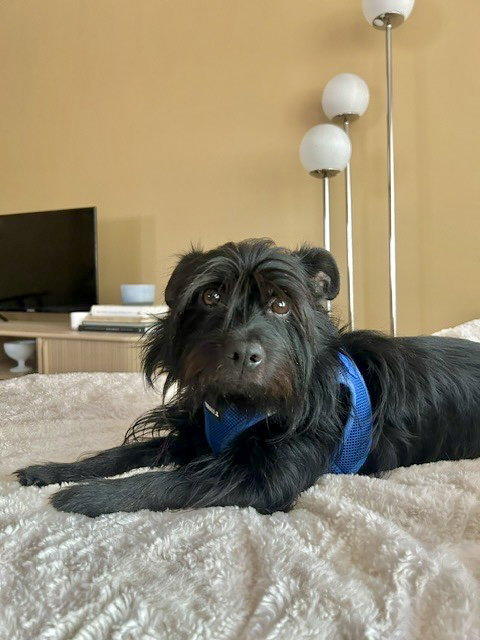 Ducky, photo 4