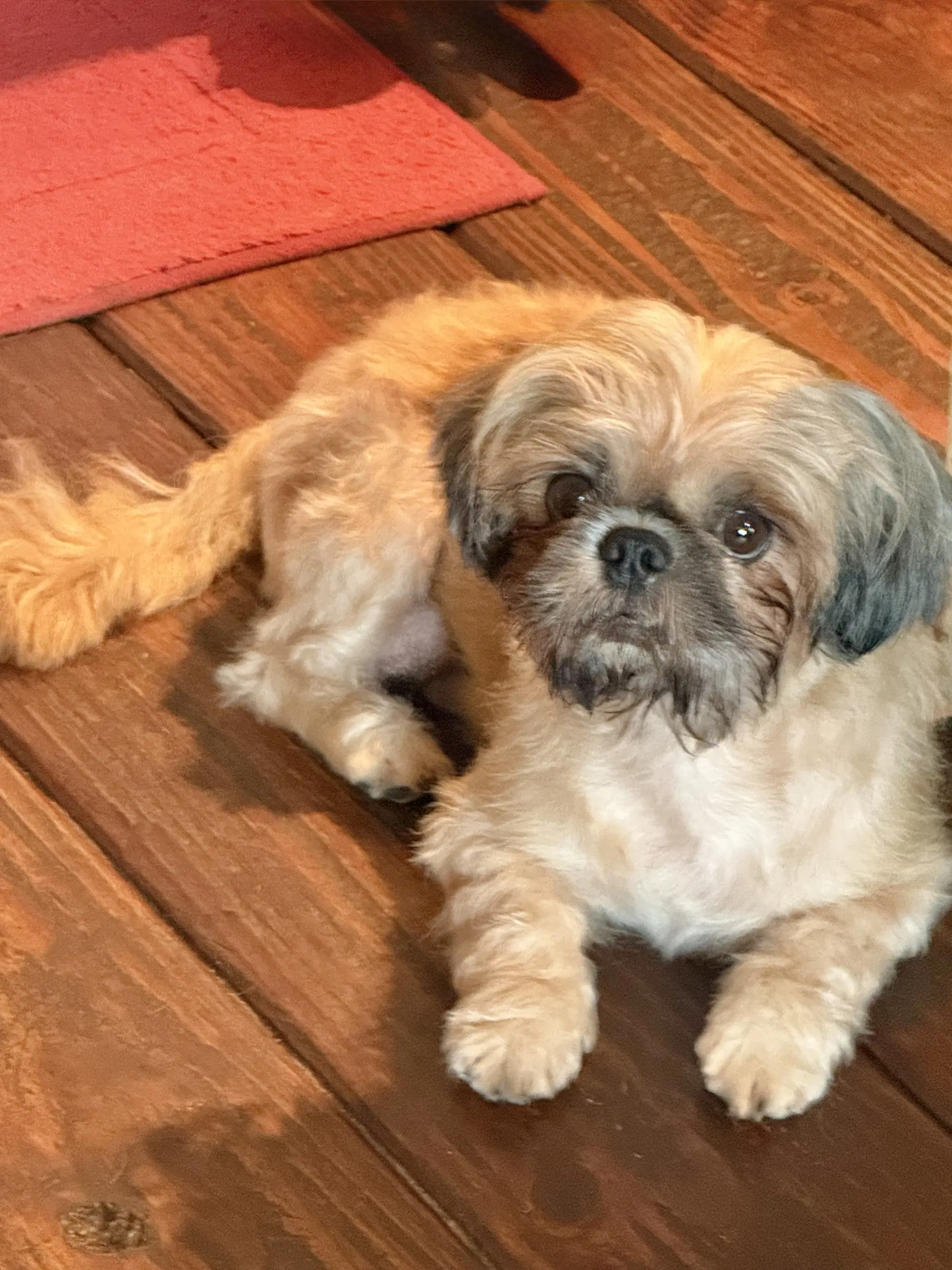 Zoe image 2