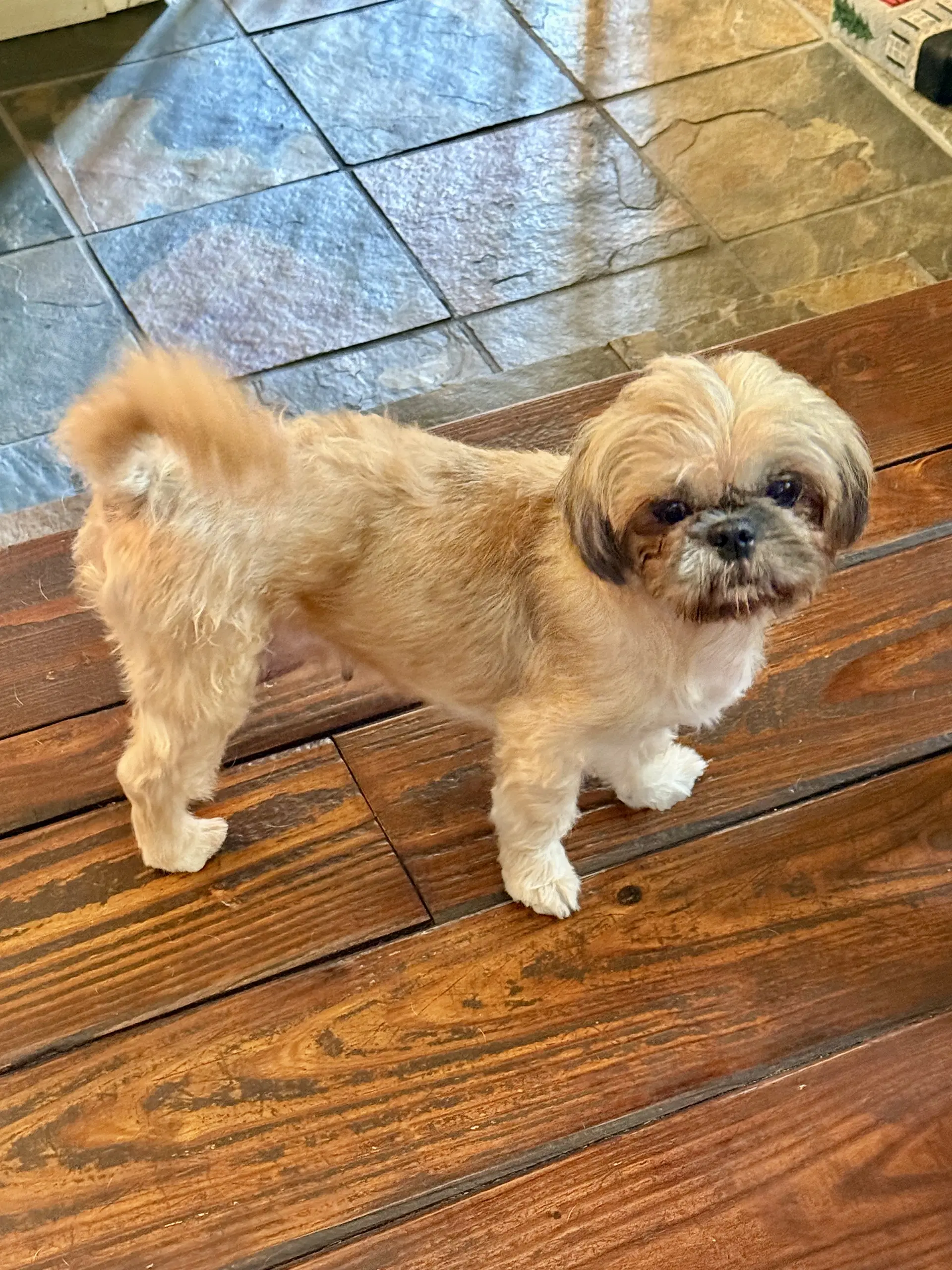 Zoe image 3