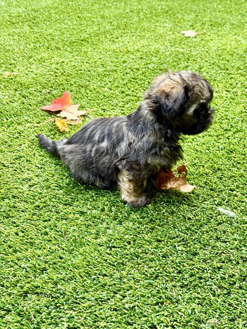Photo 3 of Itsy