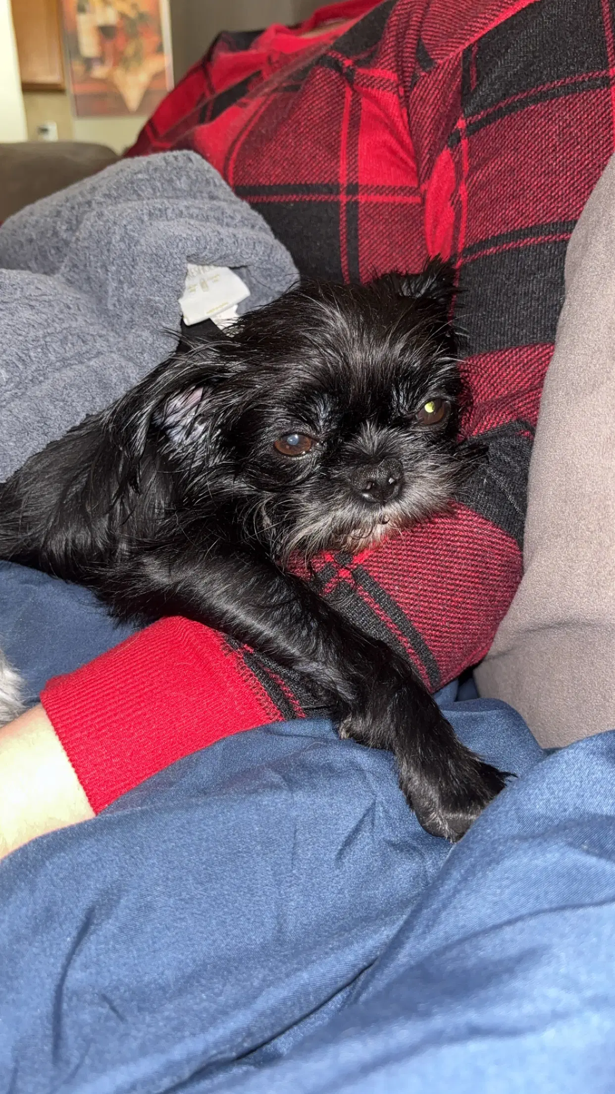 Bessy Boo image 3