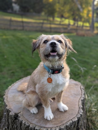 Frankie