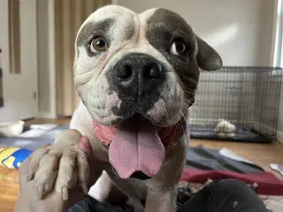 Walter image 2