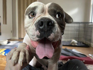 Photo 3 of Walter