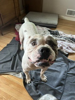 Photo 4 of Walter