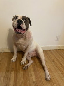Walter