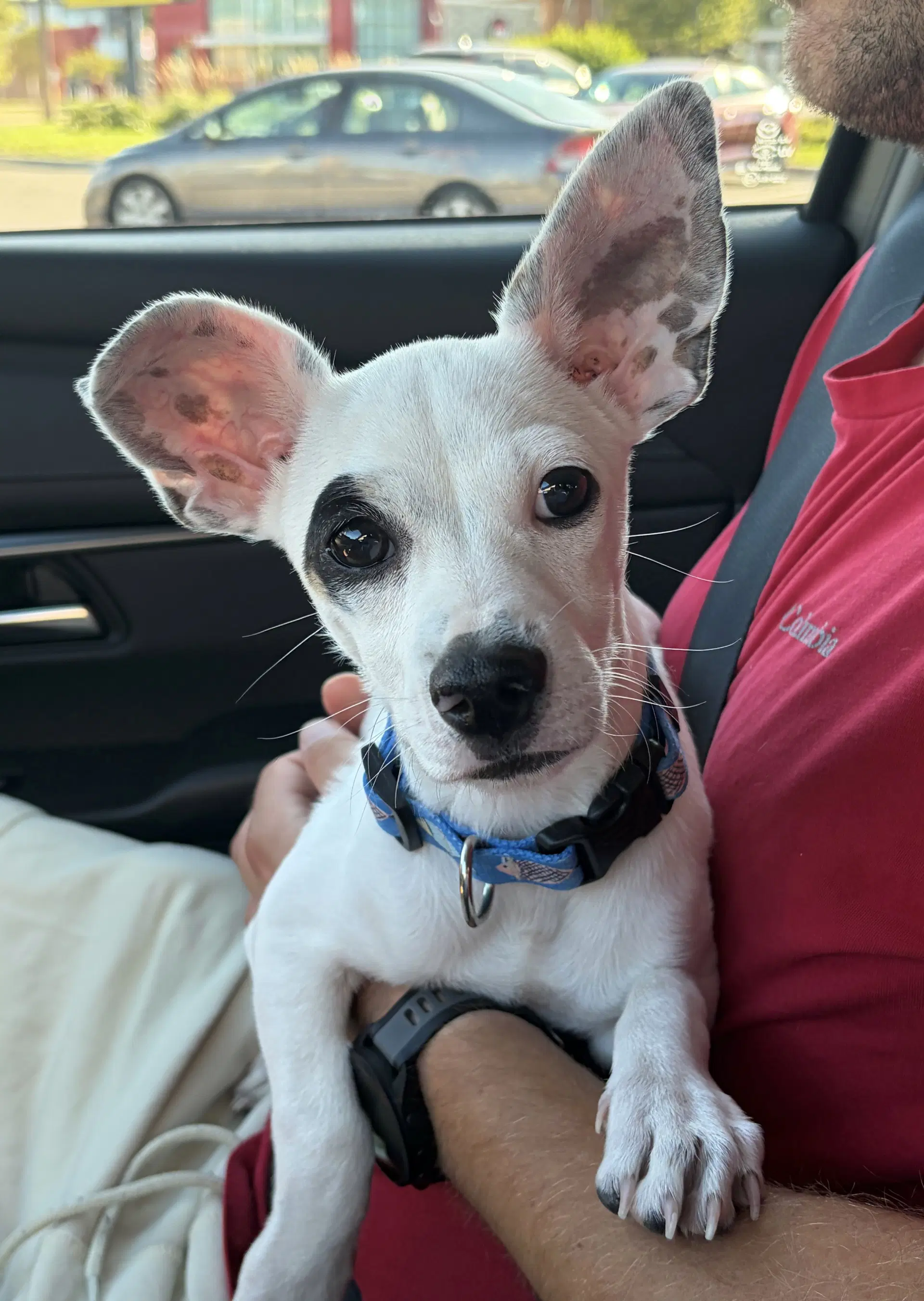 Nacho image 3