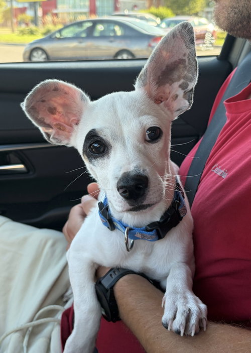 Photo 3 of Nacho
