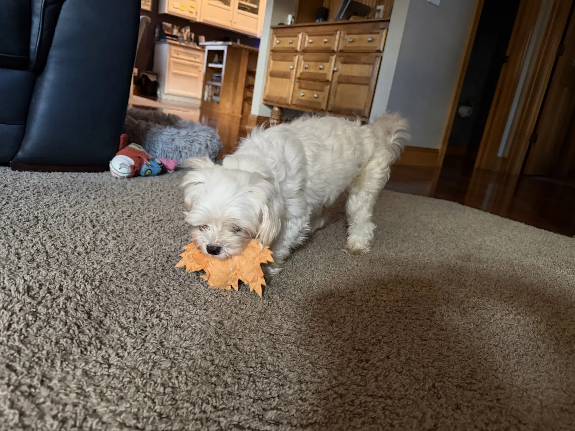 Nate image 3
