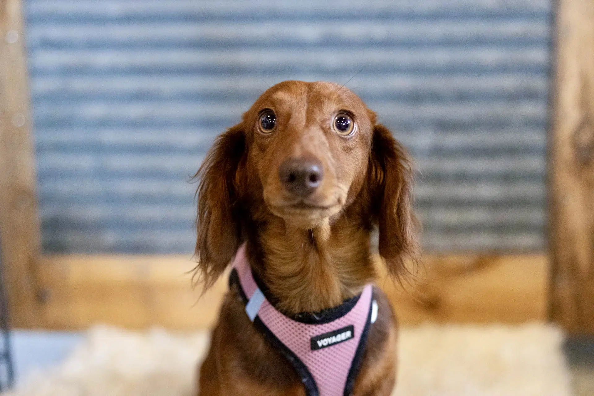 Isle image 1