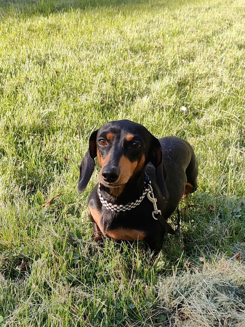 Photo 6 of Harriet