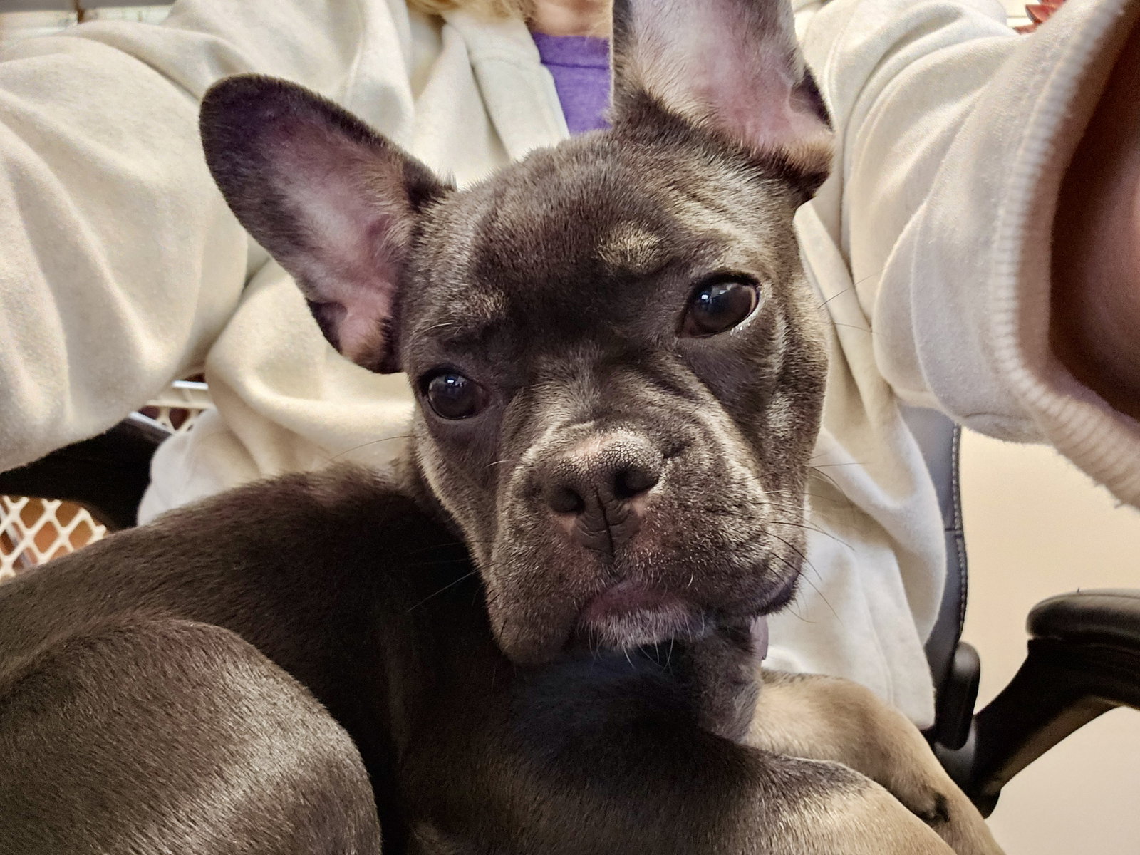 Stella Mae, photo 3