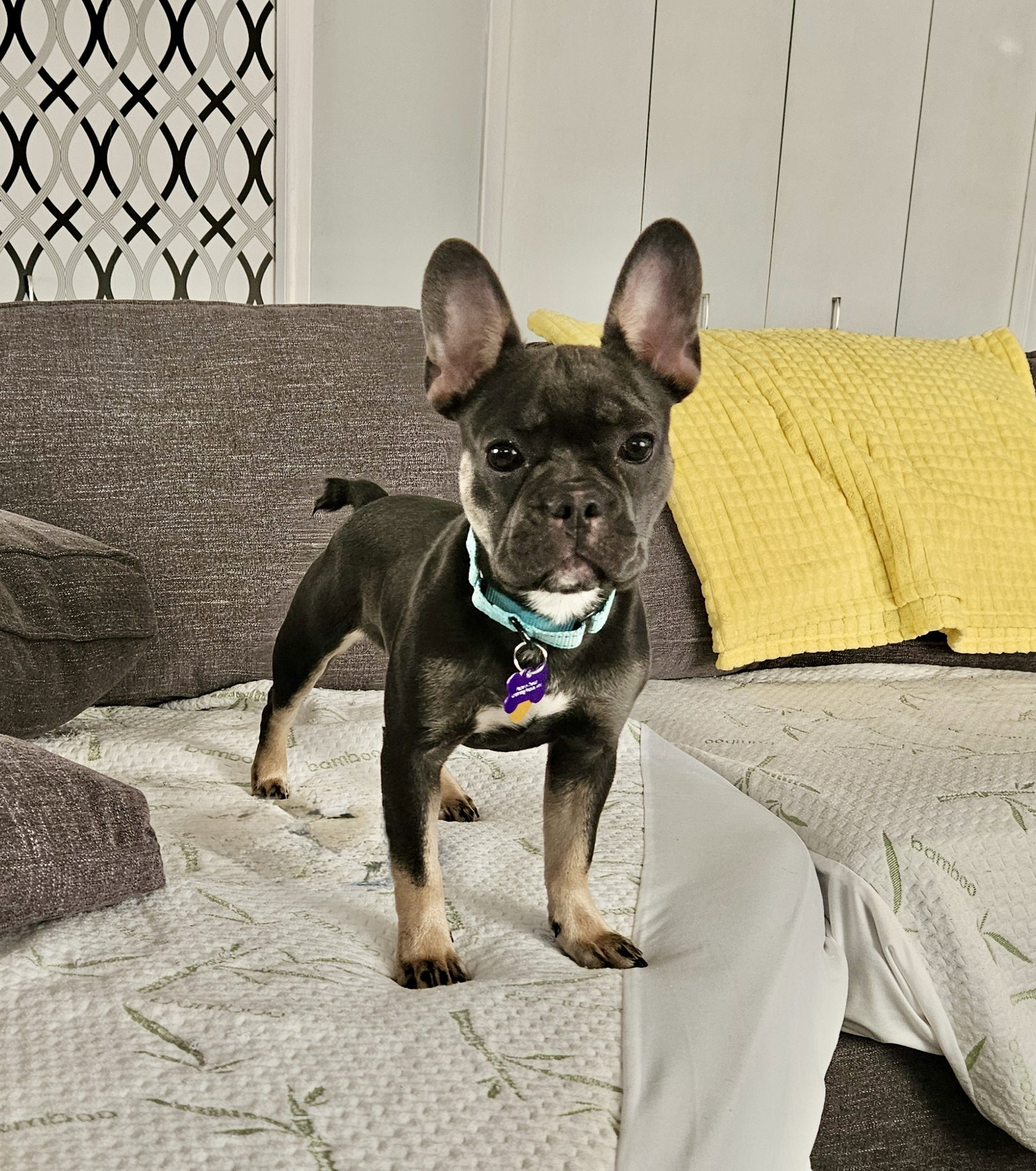 Stella Mae, photo 5