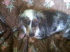 Rayna