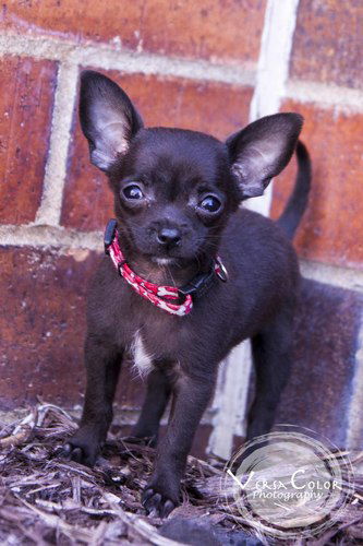 Jack