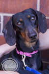 Pepper Potts