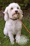 Nellie