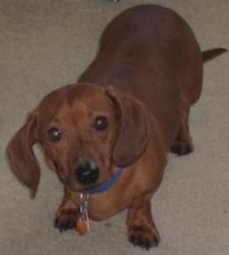 Oscar