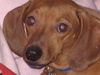 Oscar