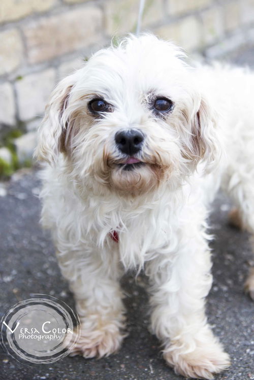 Nellie