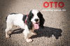 Otto