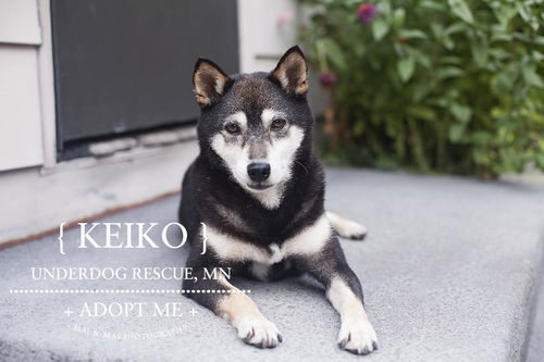 Keiko