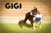 Gigi