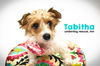 Tabitha