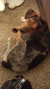 Jack
