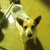 Darla - Photo 1