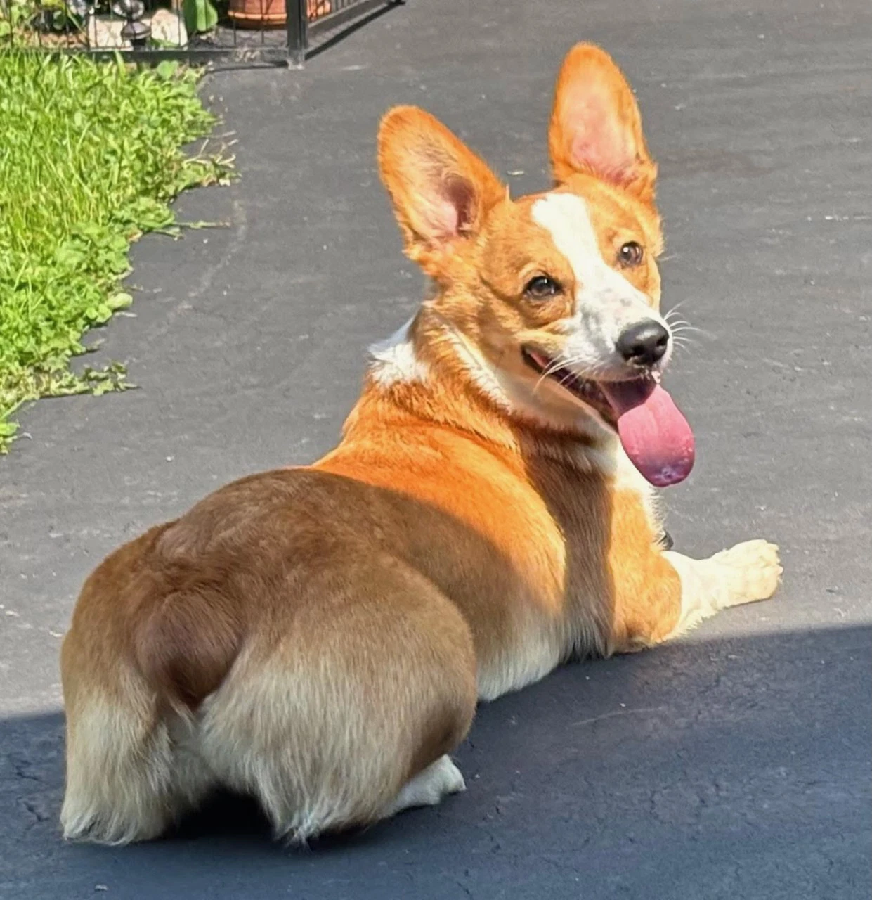 Rescue Sabrina