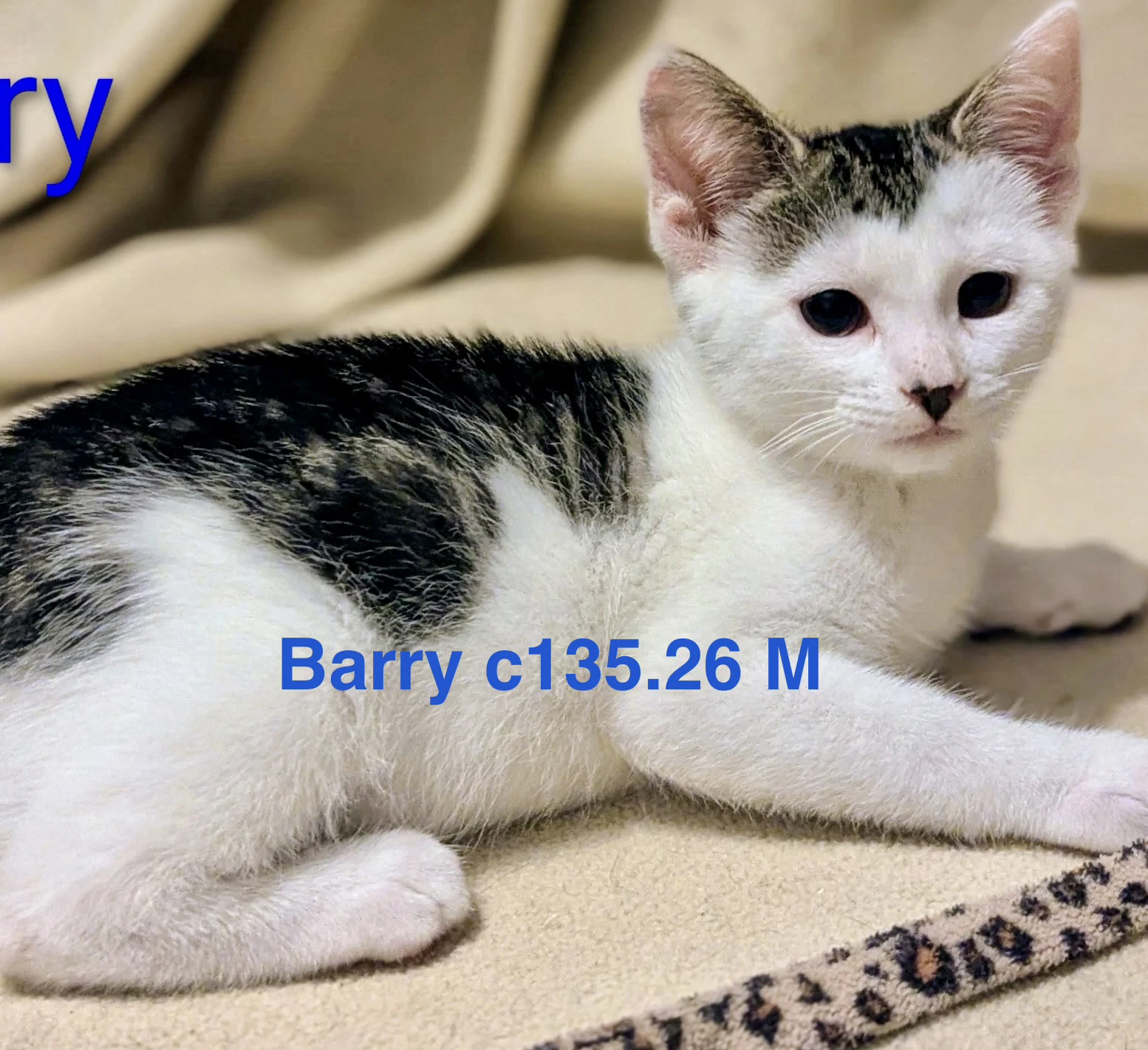 Foster Barry