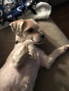 Tuck