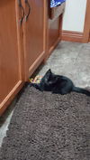 Binx