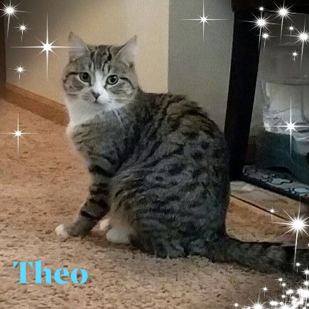 Theo