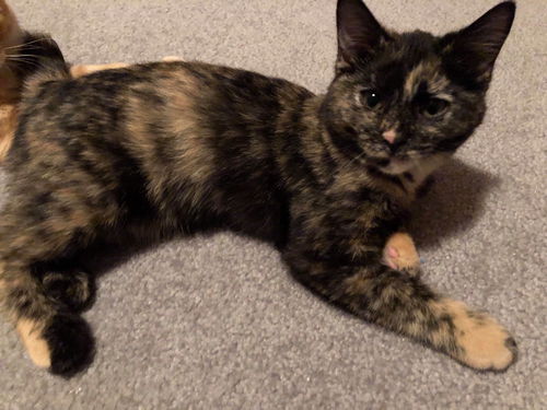 Twix