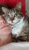 Buddy