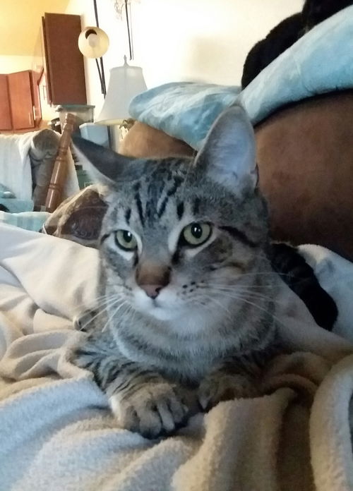 Julian