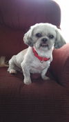 Tucker
