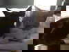 Crash