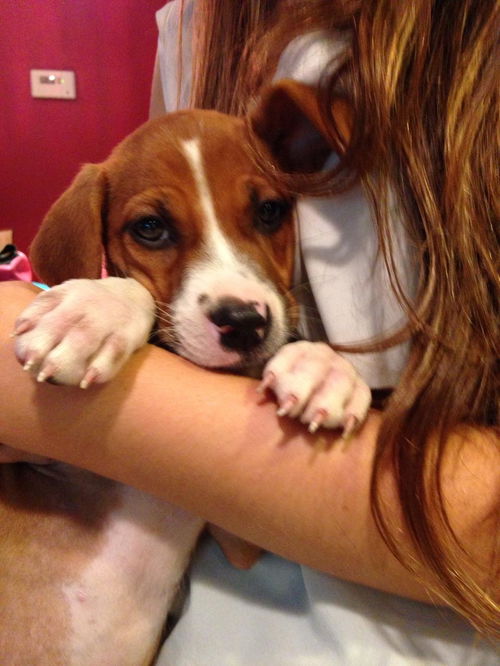 Ginny