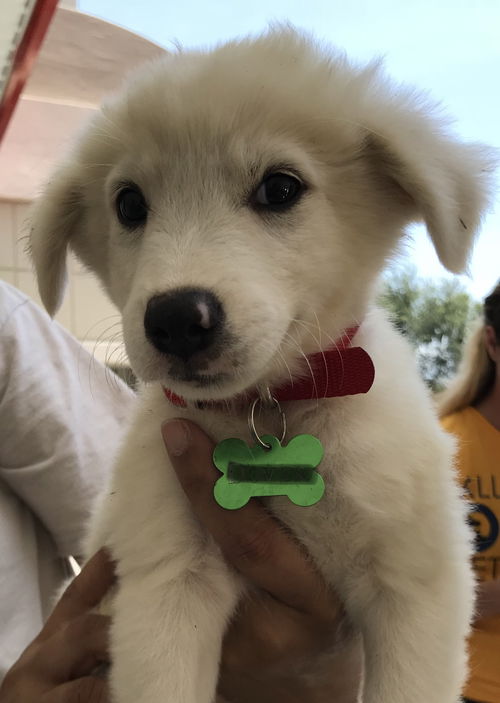 Tucker