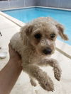 Ethel