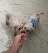 Ethel