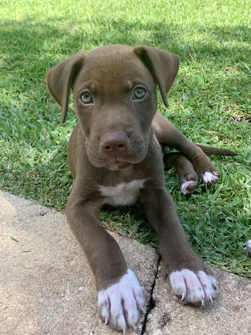 Hudson