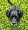 Cooper*