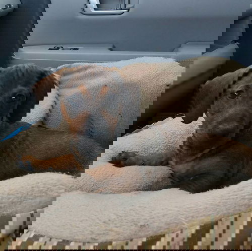 Ben