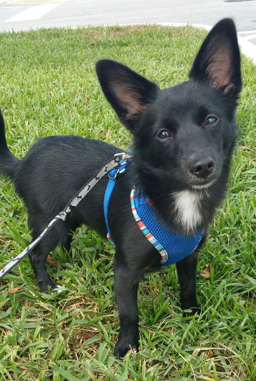 Luna